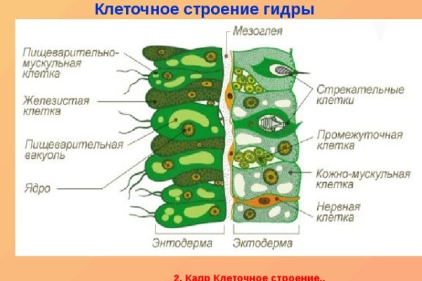 Кракен онион ссылки