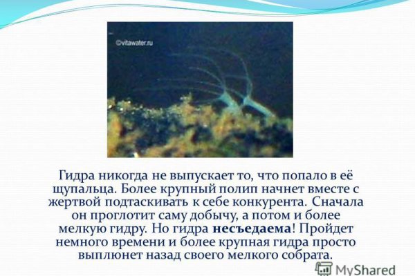 Кракен маркет что это